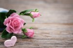 last minute gifts for someone far away, mother's day away from home, 8 ways to send love to your mom on mother s day even when you are away from home, Microwave