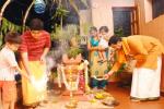 tulsi is the holy basil, holy plant tulsi, tulsi puja, Tulsi puja