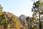 Kasauli update, Kasauli news, amazing things to do and see in kasauli, Stand up