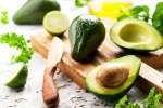 Avocado, Avocado disadvantages, add avocado in your diet to lose weight, Flat stomach