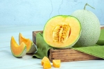 Muskmelon Seeds health tips, Muskmelon Seeds study benefits, health benefits of muskmelon seeds, Cakes