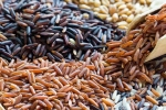 Brown Rice Vs Black Rice differences, Brown Rice Vs Black Rice suggestions, brown rice vs black rice which one is healthier, Blood sugar control Brown Rice Vs Black Rice differences, Brown Rice Vs Black Rice suggestions, brown rice vs black rice which one is healthier, Blood sugar control