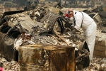 , , california wildfire toll rises to 59 130 still missing, Miley cyrus