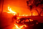 California, California Wildfire new updates, california declares wildfire emergency, Nominatio