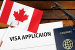 Canada Vs India Visa rule, Canada Vs India Visa rule updates, canada reduces tourist visas issued to indians, Sikh