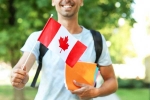 Canada Work Permit, Canada Work Permit new rules, canada to implement revised work permit for pg courses, Refugees