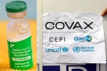 Covishield and COVAX, COVAX news, sii to resume covishield supply to covax, Coronavirus vaccine