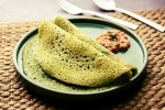 Curry Leaves Dosa breaking news, Curry Leaves Dosa videos, recipe curry leaves dosa, Curry leaves dosa