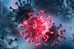 USA Coronavirus rise, USA Coronavirus, delta variant makes usa tensed again, Pfizer