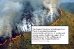 amazon forest, how big is the amazon rainforest, in pictures devastating fires in amazon rainforest visible from space, Wmo