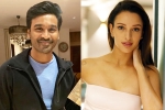 Triptii Dimri new film, Triptii Dimri breaking, dhanush to romance animal actress triptii dimri, Hindi film