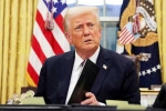 Donald Trump's Citizenship Order by Court, Court on Donald Trump's Citizenship Order, court blocks donald trump s citizenship order indefinitely, John