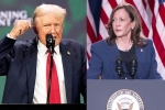 Donald Trump Vs Kamala Harris updates, Donald Trump Vs Kamala Harris news, donald trump calls kamala harris is married to a jewish man, Fbi