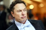 India, Tesla CEO, elon musk s india visit delayed, Technology