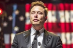 Elon Musk, Musk reply on social media, is elon musk in the trump cabinet, Hacking