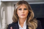 ricardel, US, melania trump calls for firing of senior national security adviser, Midterm elections