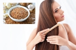 Flaxseeds breaking updates, Flaxseeds disadvantages, how flaxseeds can help for a long and healthy hair, Hair care