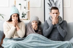 Flu Season special tips, Flu Season latest breaking, get vaccinated and stay healthy in this flu season, Apples