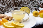 Ginger-Lemon Tea new update, Ginger-Lemon Tea, advantages of ginger lemon tea, Fats