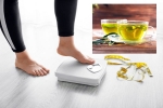 Green Tea for Weight loss tips, Green Tea for Weight loss, can consuming green tea really help in weight loss, Skin care