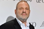 British Film Institute, Harvey Weinstein, uk probe into harvey weinstein s sexual assaults widens with seven women, Gwyneth paltrow