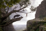 Hollywood Film Revenue In India Rises By Dubbed Versions, Dubbed Versions Rises The Hollywood Film Revenue In India, hollywood film revenue in india rises 10 percent, Kendall jenner