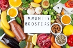 Immunity Tips for body, Immunity Tips for humans, interesting science backed tips to feel your best, Cookies