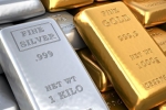 Gold and Silver Imports news, Gold and Silver Imports news, indian government clears gold and silver imports, Director Gold and Silver Imports news, Gold and Silver Imports news, indian government clears gold and silver imports, Director