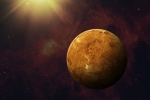 microorganisms, Venus, researchers find the possibility of life on planet venus, Saturn