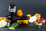 mahashivratri 2019 isha, Maha Shivratri lord shiva, maha shivratri 2019 visit these lord shiva temples to witness best of the maha shivratri, Maha shivaratri