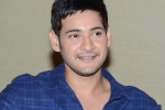 Mahesh Babu latest, Mahesh Babu latest, mahesh babu s next updates, Bharat anu nenu
