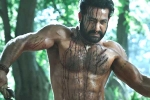 RRR updates, RRR Release date, ramaraju for bheem ntr s deadly transformation as komaram bheem, Ramaraju for bheem video