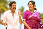 Bangarraju promotions, Bangarraju release date, nagarjuna s bangarraju turns hot among sankranthi releases, Rowdy boys