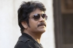 Nagarjuna, Nagarjuna Hindi movie, nag signs a bollywood flick, Devadasu