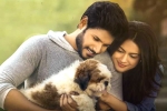 Ninu Veedani Needanu Nene movie story, Ninu Veedani Needanu Nene rating, ninu veedani needanu nene movie review rating story cast and crew, Tada