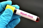 suspected Nipah Virus, Nipah Virus in South India, nipah virus is back again two deaths registered, World health organization