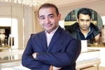 Nehal Deepak Modi new breaking, Nehal Deepak Modi in USA, nirav modi s brother arrested in usa, United states