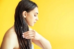 Overnight Hair Oiling latest breaking, Overnight Hair Oiling research, is overnight hair oiling right for you, Moisture