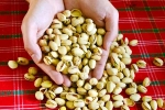 Pistachios in proteins, Pistachios in proteins, pistachios are a perfect protein snack, Sugar