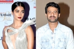 UV Creations, Pooja Hegde new film, pooja hegde all set to romance prabhas, Duvvada jagannadham UV Creations, Pooja Hegde new film, pooja hegde all set to romance prabhas, Duvvada jagannadham