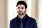 Prabhas new movie, Prabhas new movie, new updates of prabhas and maruthi film, Malavika mohanan