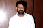 Maruthi, Prabhas, two beauties locked to romance prabhas, Malavika mohanan