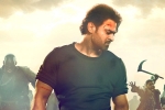 Sujeeth, Shraddha Kapoor, saaho trailer prabhas ready with one more winner, Look stunning