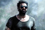Prabhas, Prabhas breaking news, prabhas salaar to have malayalam star, Shruthi haasan
