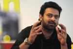 Malavika Mohanan, Prabhas, two young beauties in talks for prabhas next, Pelli sandad