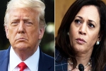 Amy Tripp statement, Kamala Harris, astrologer predictions about the new us president, Presidential elections