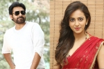 Rakul Preet Singh new film, Rakul Preet Singh, rakul rejects pawan s film, Katamrayudu