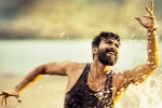 Rangasthalam 1985 latest, Rangasthalam 1985 news, ram charan s rangasthalam 1985 first look date, Dhruva