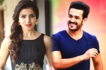 Akhil Akkineni, Samantha next project, samantha and akhil to clash in august, Bollywood films