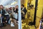 Singapore Airlines turbulence horror videos, Singapore Airlines turbulence horror breaking, one dead and 30 injured in singapore airlines turbulence horror, Singapore airlines accident